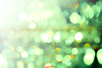 Obraz premium Natural forest bokeh