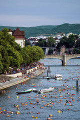 Rheinschwimmen in Basel 