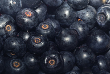 bilberry