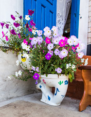 flowerbed  as the toilet