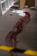 Blood on the floor
