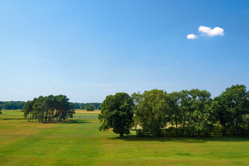 Landscape with trees on a meadow in summer in Poland.