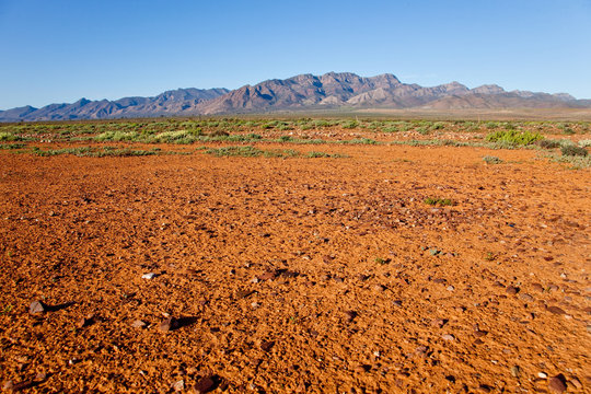 Red desert. Flinders Ranges. South Australia.