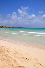 Amazing Corralejo beach on Fuerteventura