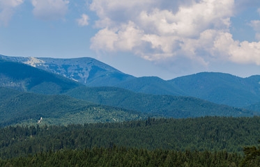 Fototapeta premium summer landscape in Carpathians
