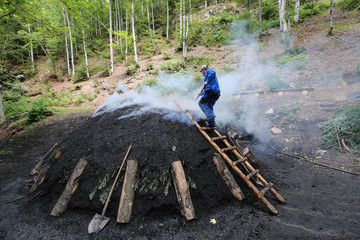 Rauchender Kohlenmeiler im Schwarzwald nach traditionellem Köhler - Handwerk aus  reinem...