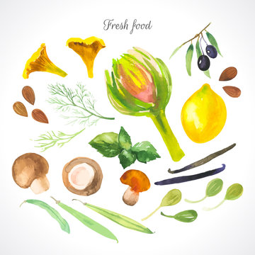 Watercolor illustration of a painting technique. Fresh organic food. Sfood, condiments and spices.