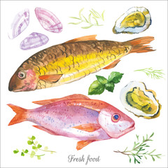 Vector Illustration with watercolor food.