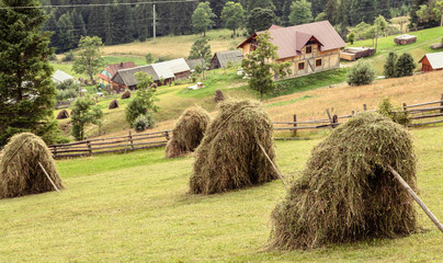 rural landscape