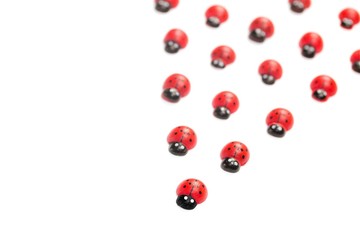 Teamwork - Konzept Marienk&auml;fer