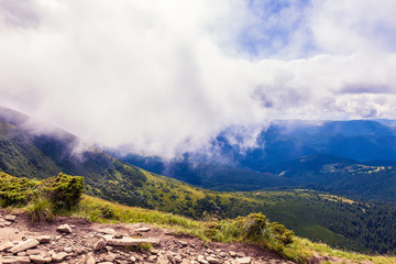 summer landscape in Carpathians
