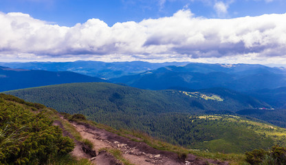 summer landscape in Carpathians