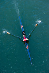 Sculler in Competition
