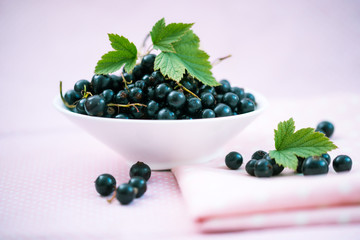 Schale mit frischen Johannisbeeren