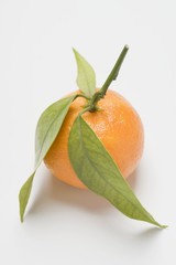 Clementine with leaves