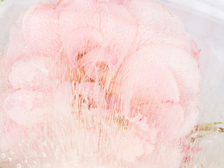 abstraction with pink flower