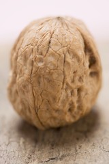Whole walnut