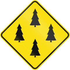 Warning road sign in Quebec, Canada - Forest plantation