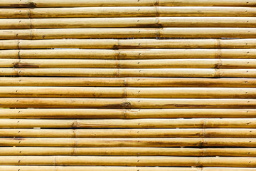 bamboo fence background