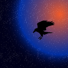 silhouette of a raven in space