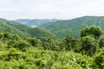 Fototapeta na wymiar View of mountain, Khao Yai National Park, Thailand