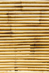 bamboo fence background