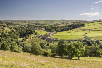 Summer Yorkshire Landscape