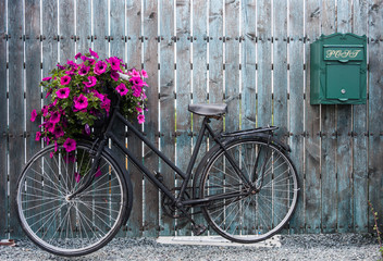 old vintage bicycle with flower basket 