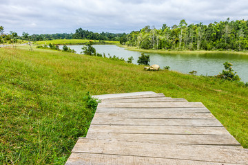 Boardwalk in green meadow with lake