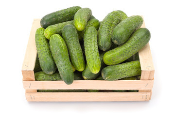 Cucumbers (Cucumis sativus) in wooden crate