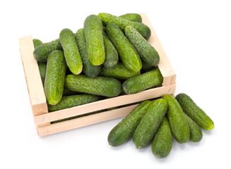 Cucumbers (Cucumis sativus) in wooden crate
