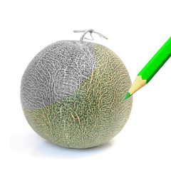 cantaloupe melon isolate on white background