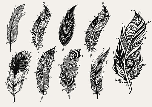 Set of hand drawn rustic decorative feathers