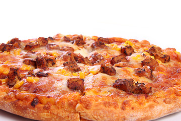 Closeup picture of piza , showing all the details of cheese , tikka and other piza elements