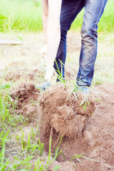 Closeup photo of man digging soil at garden