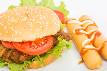 Classic Big hamburger on dish isolate