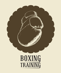Boxing design 