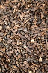 Herbs at market in Agadir, Morocco