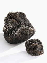 Black truffles