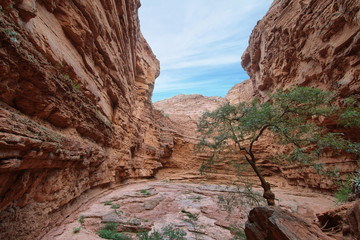 Rock formation known as Devil's Throat, Argentina