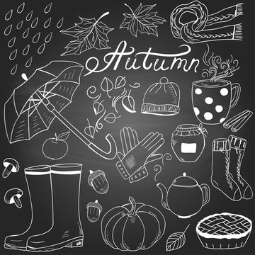 Set of autumn symbols and items on the chalk board