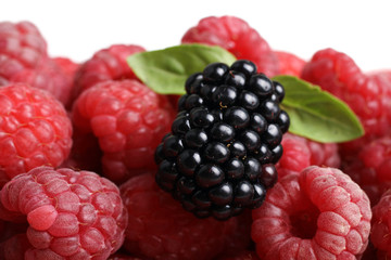 raspberries and blackberries background