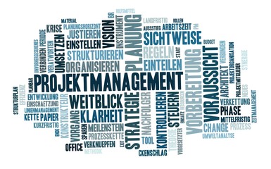 Projektmanagement Wort Wolke, blau