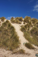 Dunes at Cala Mesquida beach - Majorca
