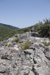 Rocher dans la montagne, Cévennes	