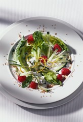 Romaine lettuce with cucumber, raspberries & yoghurt dressing