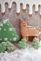 Christmas biscuits (a reindeer and a Christmas tree)