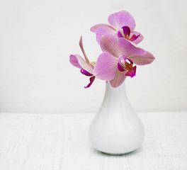 Pink orchids in a vase