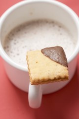 Fototapeta na wymiar Biscuit on cup of cocoa