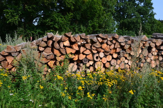 Brennholzstapel in der Natur